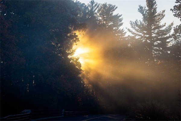 最好听的女性三字网名