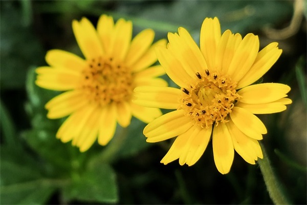 好听的阳光的网名