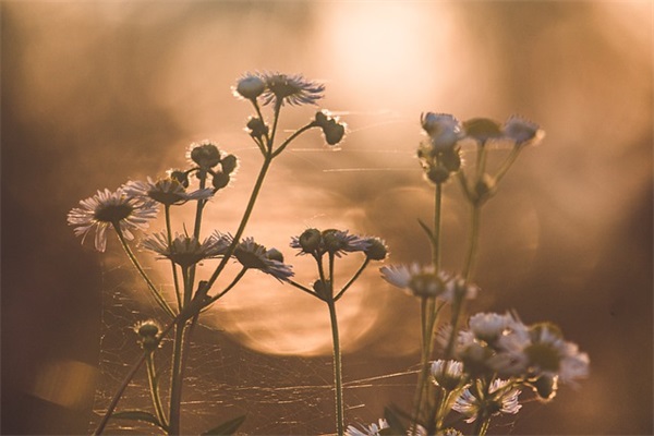 难读好听的网名两字