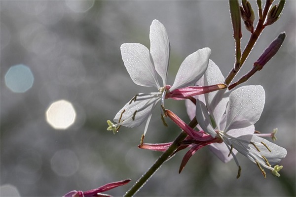 好听的酷的网名女