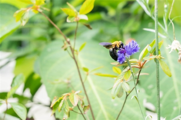 好听幽默网名大全