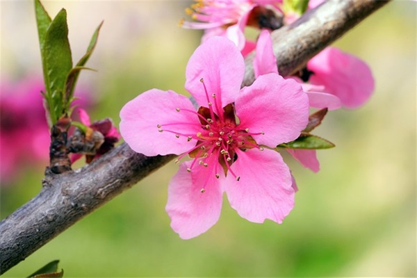 突出卖鞋好听网名