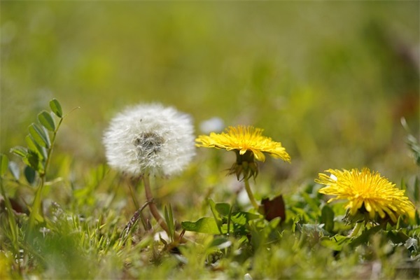 网名叫什么好听男生