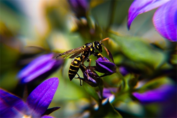 好听的英文网名清新