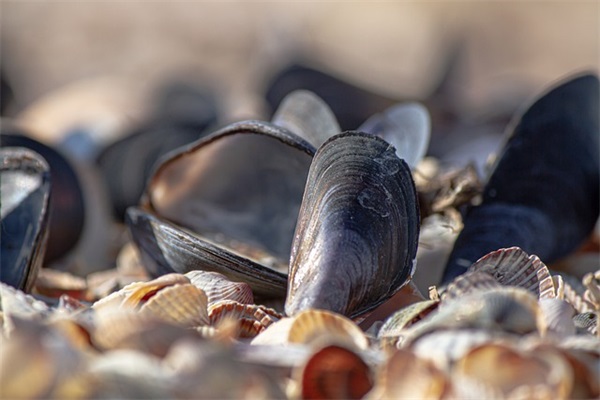 悲伤简短好听网名