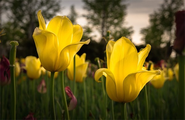 男人的网名叫什么好听