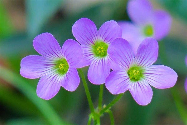 易字好听的网名大全集