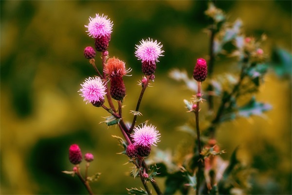超好听的女神网名