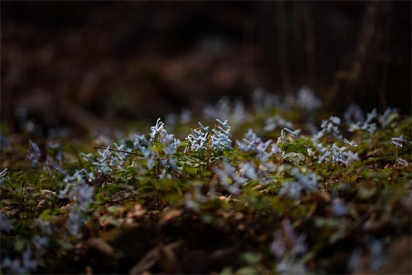 属蛇缺木钱姓女宝宝名字大全