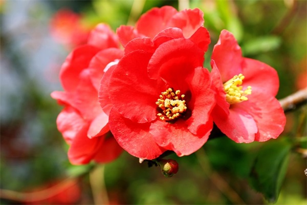 钱姓带凌字男宝宝取名