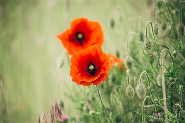 孙姓带滨字男宝宝取名