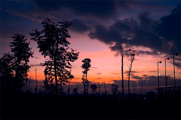 属鸡缺土钱姓男宝宝名字推荐