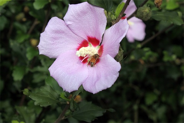 属鸡缺水钱姓女孩名字推荐