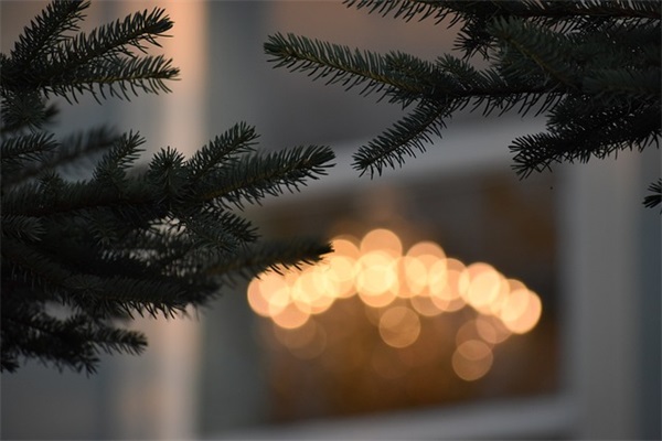 属马缺土孙姓女宝宝名字推荐