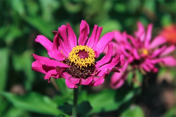 大气点的唐姓男孩取名