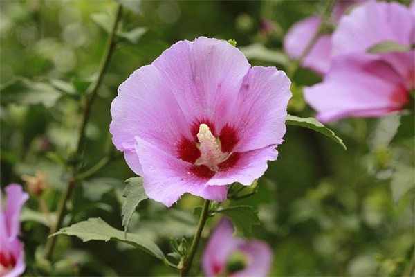 属龙缺土钱姓男孩起名