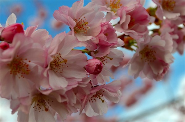 属蛇缺水孙姓男宝宝起名