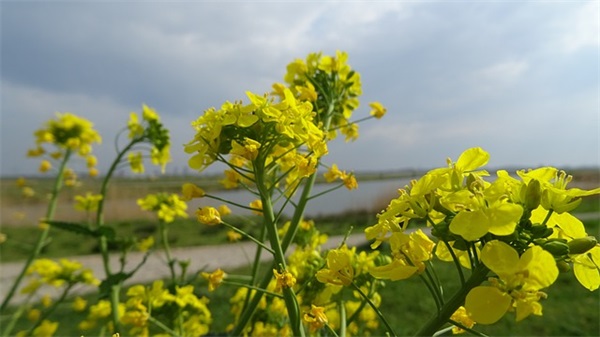 孙姓带勇字男宝宝名字大全