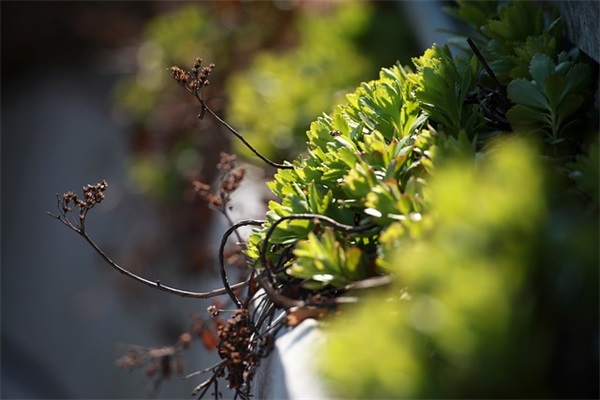 孙姓带多字女宝宝名字推荐