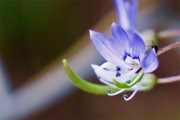 钱姓带渲字男宝宝起名