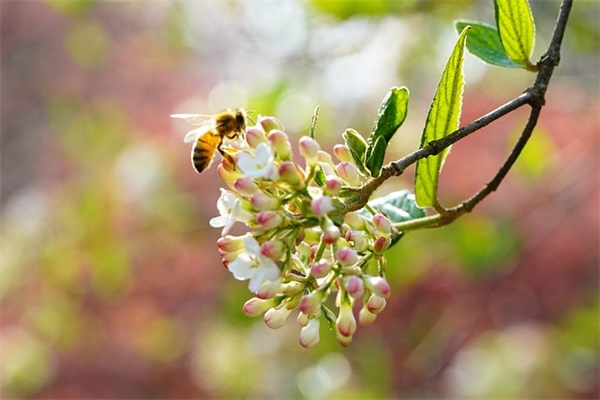 姓谢男孩名字招财300个