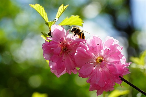 钱姓带仙字男宝宝取名