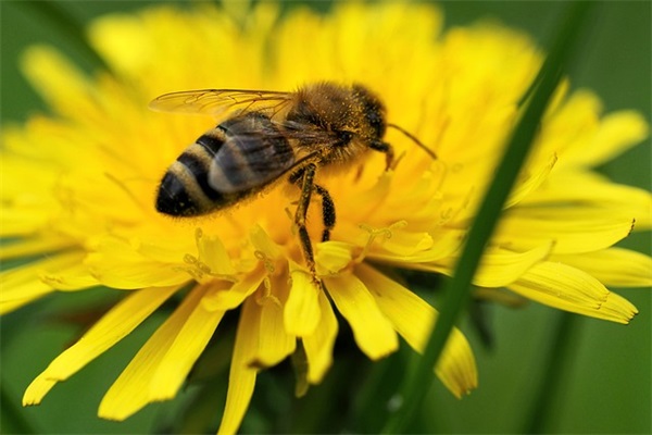 孙姓带桀字男宝宝取名