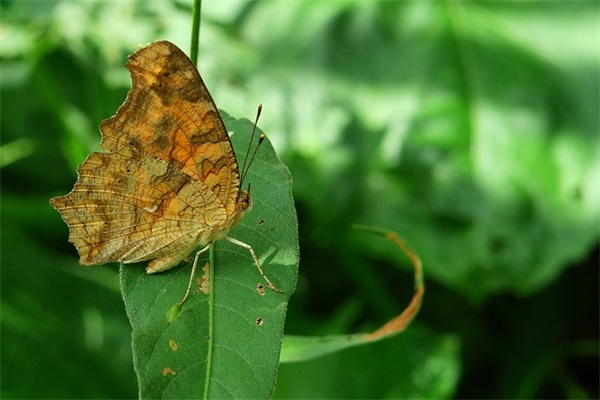 孙姓带键字男孩起名