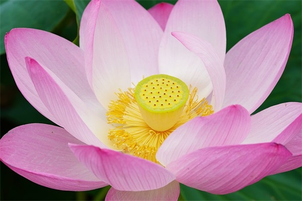 钱姓带非字男宝宝名字精选