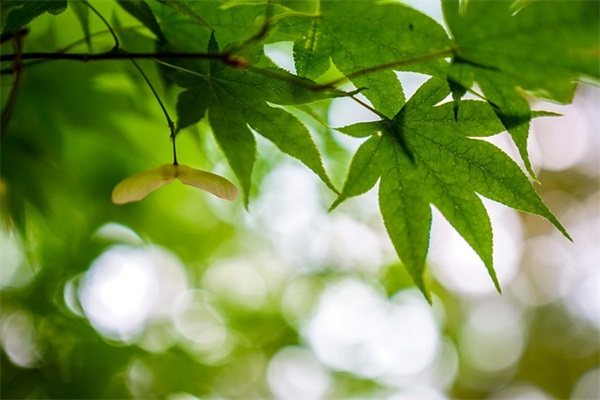 钱姓带柔字男宝宝取名