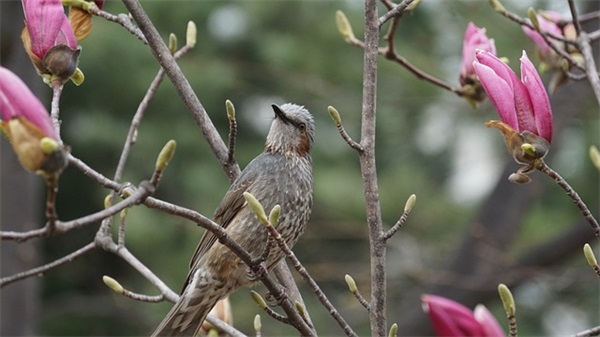 孙姓带飒字女宝宝名字精选