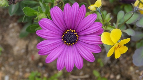 孙姓带邺字男孩名字精选