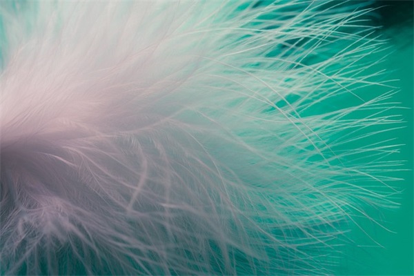 孙姓带灯字男孩取名