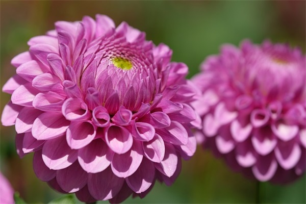 孙姓带岂字男孩名字精选