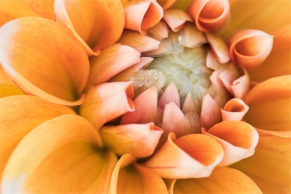 孙姓带勉字男宝宝取名