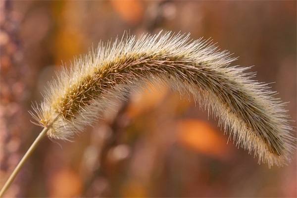 孙姓带炽字男宝宝名字精选