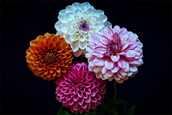 孙姓带夜字男孩名字精选