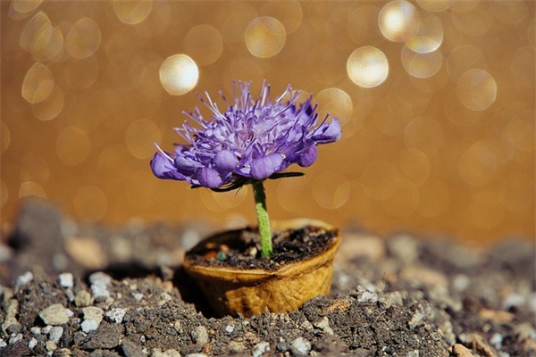 表达相思的短信105句