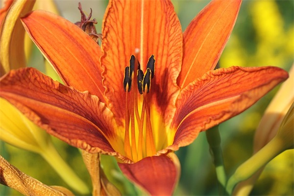 给客户的问候短信91句