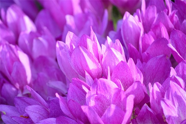 好玩的中秋节短信91句