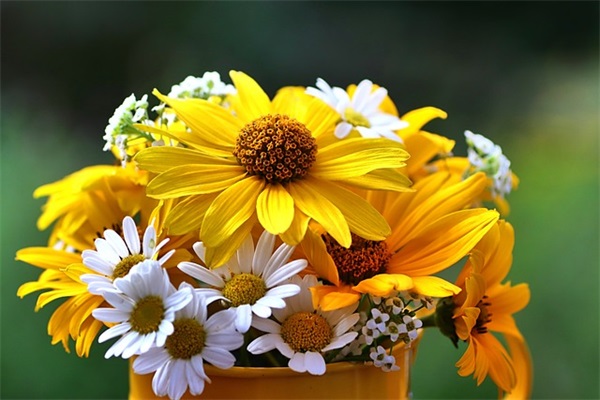 发给爸爸生日祝福短信94句