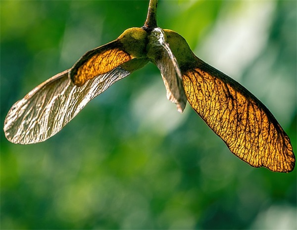 白色情人节幽默短信90句