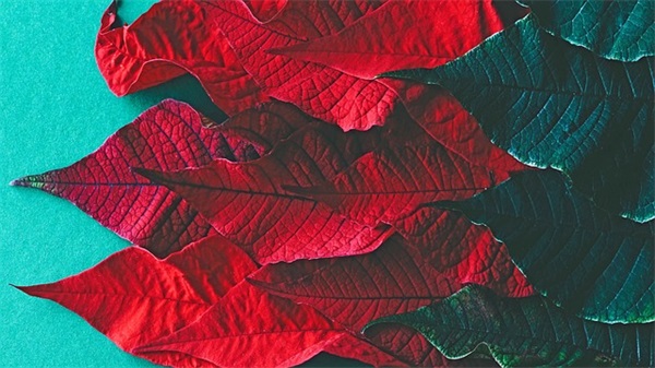 致2025高考的励志寄语简短 高考励志句简短