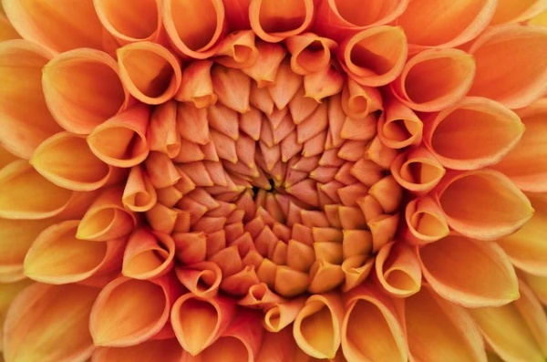 暖心的谷雨时节寄语