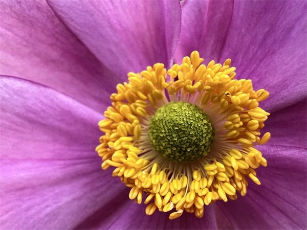 班主任寄语一句话激励