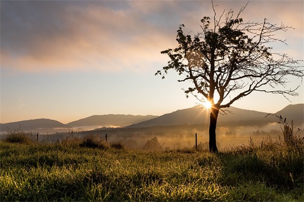 写给孩子中考鼓励的话 孩子中考家长鼓励寄语