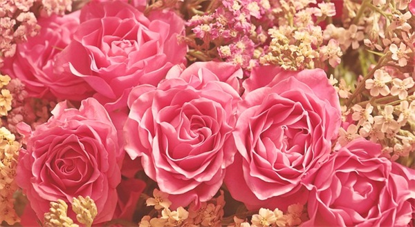 2025教师节感恩寄语