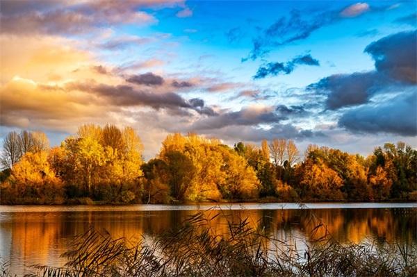 八一军嫂对军人的寄语