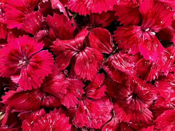 5字励志的话简短霸气 励志的话简短霸气16字