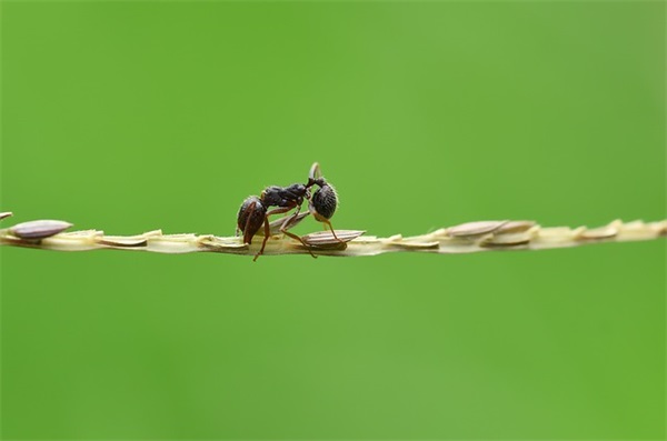 唯美爱情格言短句(精选82句)